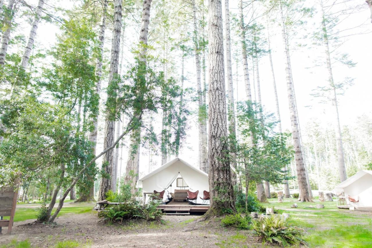 Mendocino Grove Hotel Eksteriør billede